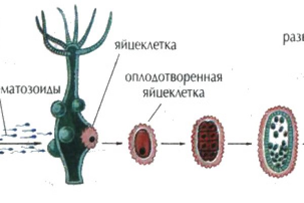 Зеркала сайта кракен tor